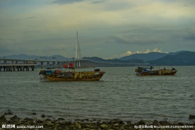 深圳湾