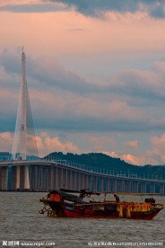 深圳湾