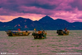 深圳湾