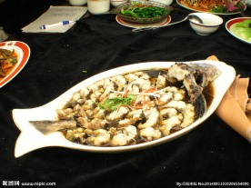 鲟鱼