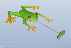 青蛙