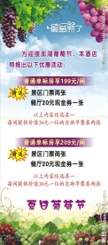 葡萄节展架