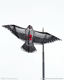 高空放飞的风筝