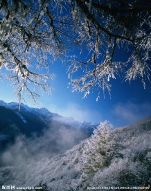 冬日山林雾凇雪景