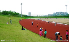 大运风光 场馆建筑