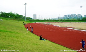 大运风光 球场建筑