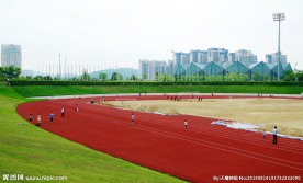 大运风光 体育建筑