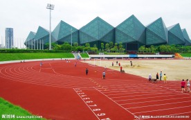 大运风光 足球场建筑