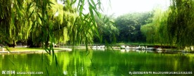 湖面风光