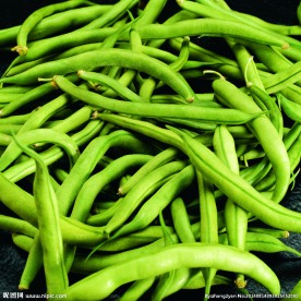 豆角 豆类