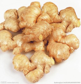 姜    蔬菜    生姜