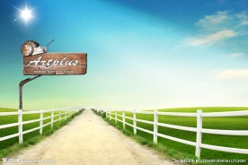 蓝天下的道路指示