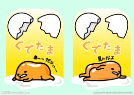蛋壳
