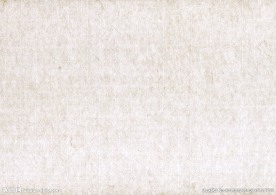 纸纹