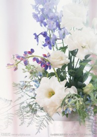 居家室内插花艺术