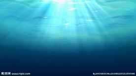阳光透视海底