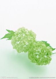 绿花