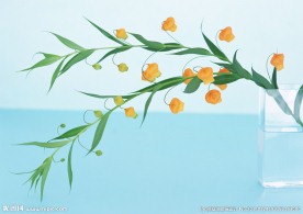 黄色水仙