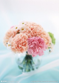 美丽鲜花