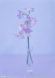 水仙花
