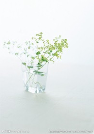 绿色小花