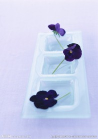 蝴蝶花摆设