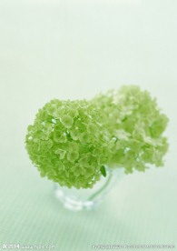 绿花