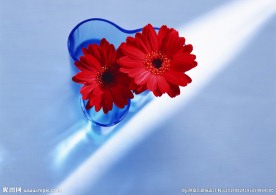 红花