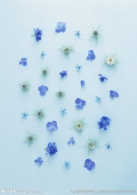 鲜花拼图