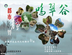 鸣翠谷 景区