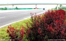 高速公路 高速 公路 