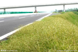 高速公路 高速 公路 