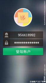 app程序登录界面