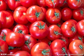 西红柿