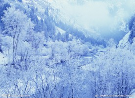 雪景