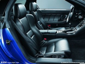 汽车内饰 真皮座垫