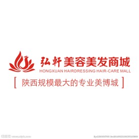 弘轩美发城LOGO