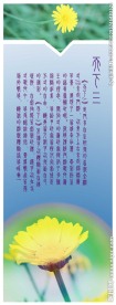 排版设计