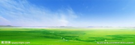 草原风景
