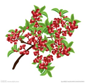 花椒