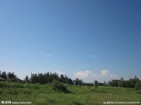 蓝天  草地