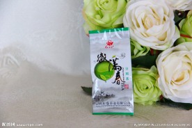 日照绿茶