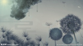蒲公英飞舞
