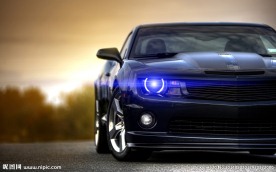 蓝色科迈罗大黄蜂