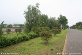 洪泽湖小路
