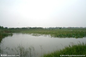 洪泽湖
