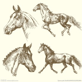 手绘骏马