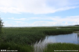 草原湿地
