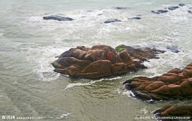 黄海礁石