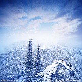 唯美雪景
